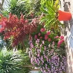 Bed and Breakfast La Roseraie