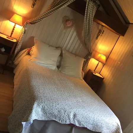 La Roseraie לינה וארוחת בוקר Trizay